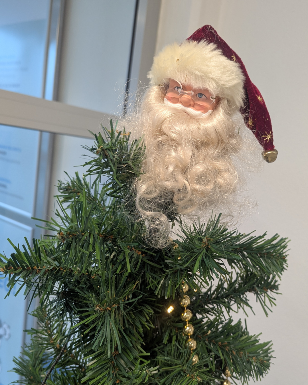 Bild als Galerie öffnen Bild