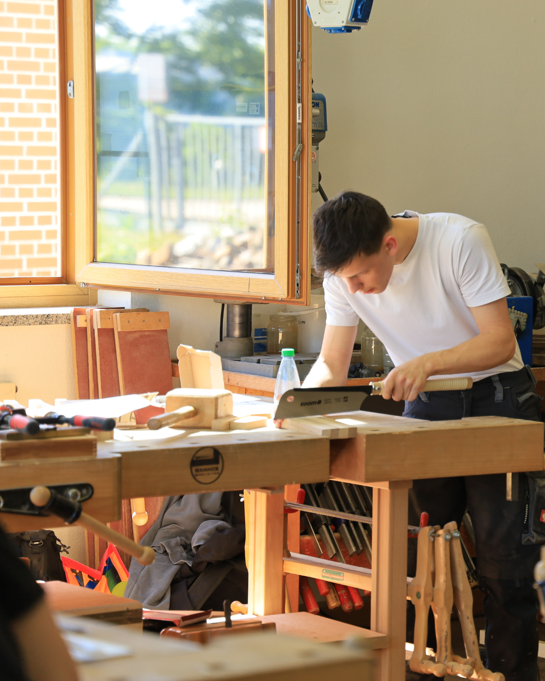 Bild